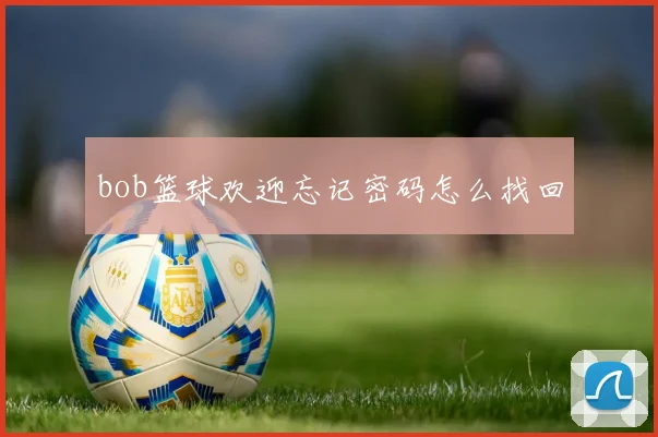 bob篮球欢迎忘记密码怎么找回