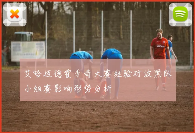 艾哈迈德霍季奇大赛经验对波黑队小组赛影响形势分析